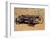 Old wagon, Rock Art Ranch, near Holbrook, Arizona, USA-Michel Hersen-Framed Photographic Print