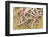 Old Wagon Wheels in Grass, Fort Steele, British Columbia, Canada-Jaynes Gallery-Framed Photographic Print