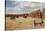 Old Wagons, Fort Union National Monument, New Mexico, United States of America, North America-Richard Maschmeyer-Stretched Canvas