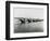 Old Waterloo Bridge and the South Bank, London, 1895-null-Framed Photographic Print