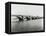 Old Waterloo Bridge and the South Bank, London, 1895-null-Framed Stretched Canvas