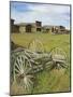 Old Western Wagons from the Pioneering Days of the Wild West at Cody, Montana, USA-Neale Clarke-Mounted Photographic Print