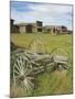 Old Western Wagons from the Pioneering Days of the Wild West at Cody, Montana, USA-Neale Clarke-Mounted Photographic Print