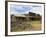 Old Western Wagons from the Pioneering Days of the Wild West at Cody, Montana, USA-Neale Clarke-Framed Photographic Print