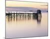 Old Wharf at Dawn-Rezendes-Mounted Art Print