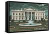 Old White House Illustration-null-Framed Stretched Canvas