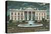 Old White House Illustration-null-Stretched Canvas