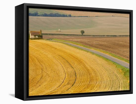 Old Winchester Hill, Hampshire, England-Jean Brooks-Framed Stretched Canvas