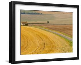 Old Winchester Hill, Hampshire, England-Jean Brooks-Framed Photographic Print