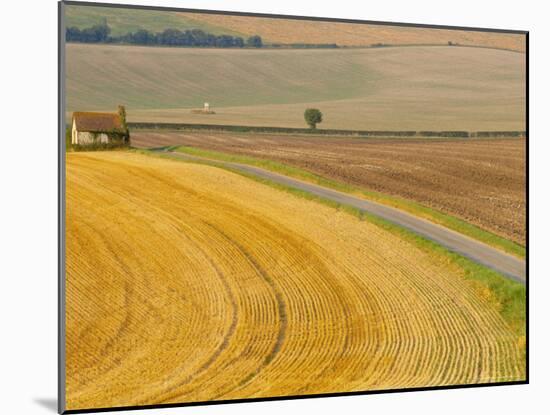 Old Winchester Hill, Hampshire, England-Jean Brooks-Mounted Photographic Print