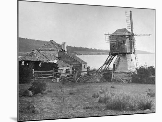 Old Windmill at Rokeby-null-Mounted Photographic Print