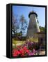 Old Windmill, Brisbane, Queensland, Australia-David Wall-Framed Stretched Canvas