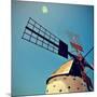 Old Windmill Fuerteventura, Canary Islands, Spain-nito-Mounted Premium Photographic Print