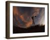 Old Windmill Silhouetted Against Clouds Colored by the Setting Sun-null-Framed Photographic Print