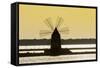 Old Windmill Used to Raise Water from the Stagnone Lagoon into Salt Pans South of Trapani-Rob Francis-Framed Stretched Canvas