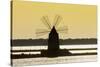 Old Windmill Used to Raise Water from the Stagnone Lagoon into Salt Pans South of Trapani-Rob Francis-Stretched Canvas