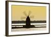 Old Windmill Used to Raise Water from the Stagnone Lagoon into Salt Pans South of Trapani-Rob Francis-Framed Photographic Print