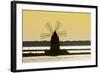 Old Windmill Used to Raise Water from the Stagnone Lagoon into Salt Pans South of Trapani-Rob Francis-Framed Photographic Print