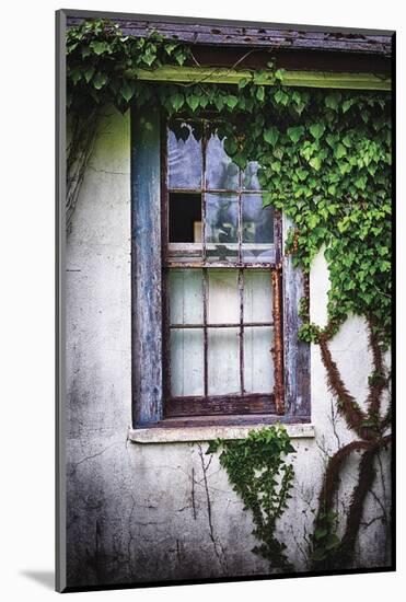 Old Window with Ivy-George Oze-Mounted Photographic Print
