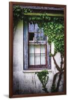 Old Window with Ivy-George Oze-Framed Premium Photographic Print