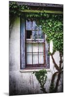 Old Window with Ivy-George Oze-Mounted Premium Photographic Print