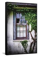 Old Window with Ivy-George Oze-Framed Stretched Canvas