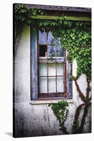 Old Window with Ivy-George Oze-Stretched Canvas