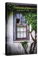 Old Window with Ivy-George Oze-Stretched Canvas