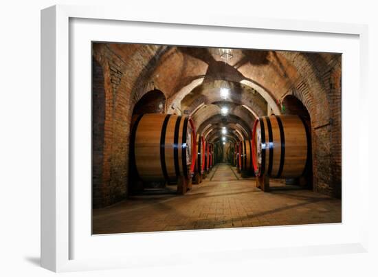 Old Wine Barrels in the Vault of Winery-Dmitriy Yakovlev-Framed Photographic Print