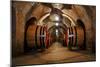 Old Wine Barrels in the Vault of Winery-Dmitriy Yakovlev-Mounted Photographic Print