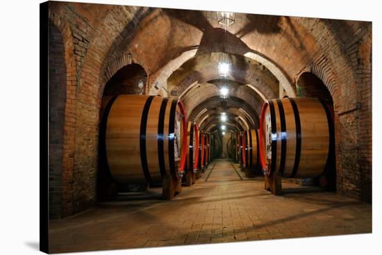 Old Wine Barrels in the Vault of Winery-Dmitriy Yakovlev-Stretched Canvas