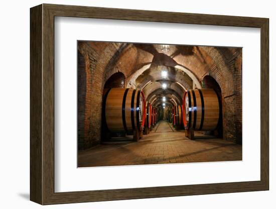 Old Wine Barrels in the Vault of Winery-Dmitriy Yakovlev-Framed Photographic Print