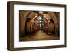 Old Wine Barrels in the Vault of Winery-Dmitriy Yakovlev-Framed Photographic Print