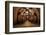 Old Wine Barrels in the Vault of Winery-Dmitriy Yakovlev-Framed Photographic Print