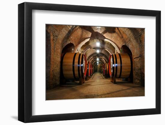 Old Wine Barrels in the Vault of Winery-Dmitriy Yakovlev-Framed Photographic Print