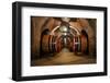 Old Wine Barrels in the Vault of Winery-Dmitriy Yakovlev-Framed Photographic Print