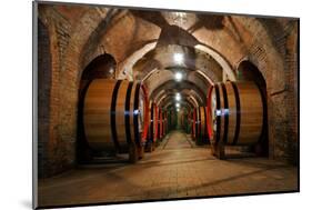 Old Wine Barrels in the Vault of Winery-Dmitriy Yakovlev-Mounted Photographic Print