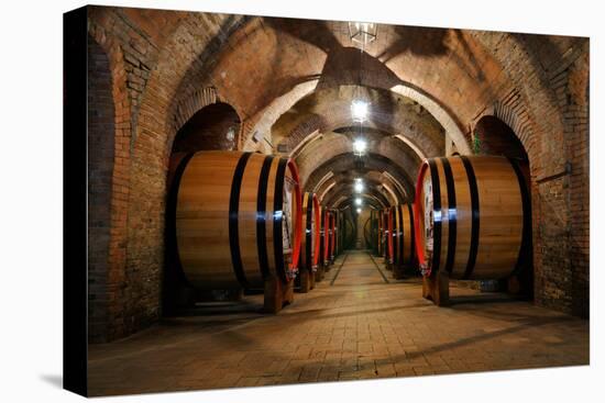 Old Wine Barrels in the Vault of Winery-Dmitriy Yakovlev-Stretched Canvas
