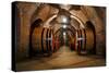 Old Wine Barrels in the Vault of Winery-Dmitriy Yakovlev-Stretched Canvas