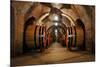 Old Wine Barrels in the Vault of Winery-Dmitriy Yakovlev-Mounted Photographic Print