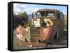 Old Wine Truck-Larry Hunter-Framed Stretched Canvas