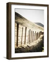 Old Wire Barbed Wire Fencing In The Afternoon Sun Along Panoche Road In San Benito County-Ron Koeberer-Framed Photographic Print