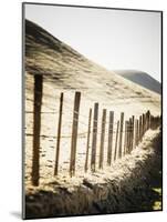 Old Wire Barbed Wire Fencing In The Afternoon Sun Along Panoche Road In San Benito County-Ron Koeberer-Mounted Photographic Print