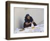 Old Woman Crocheting, Hvar, Croatia-Joern Simensen-Framed Photographic Print