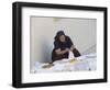 Old Woman Crocheting, Hvar, Croatia-Joern Simensen-Framed Photographic Print