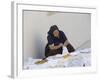 Old Woman Crocheting, Hvar, Croatia-Joern Simensen-Framed Photographic Print