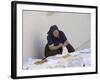 Old Woman Crocheting, Hvar, Croatia-Joern Simensen-Framed Photographic Print