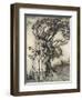 Old Woman in the Wood-Arthur Rackham-Framed Photographic Print