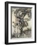 Old Woman in the Wood-Arthur Rackham-Framed Photographic Print