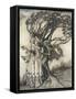 Old Woman in the Wood-Arthur Rackham-Framed Stretched Canvas